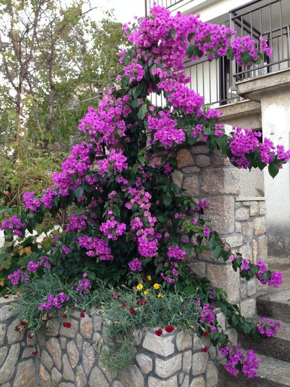 Guesthouse Maver Cres Rom bilde